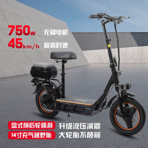 Patins Elétricos Portáteis 14 Polegadas