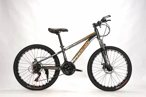 Bicicleta de Montanha com Freio a Disco