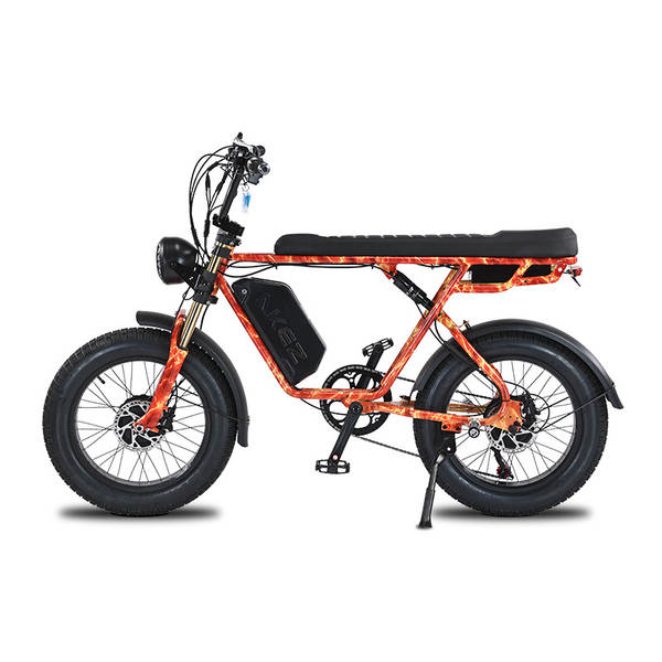 US Overseas Warehouse 20 polegadas de aço carbono rack de cauda grossa de lítio elétrico 750W motor duplo neve areia praia montanha assistente de carro