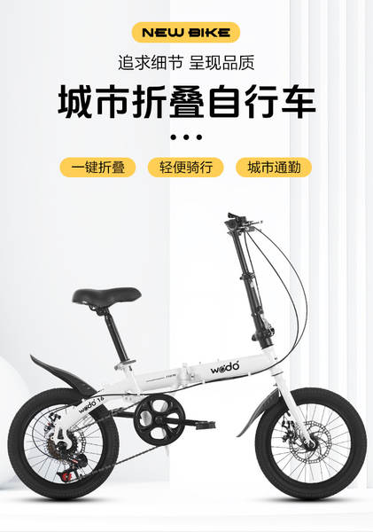 Bicicleta Dobrável para Adulto