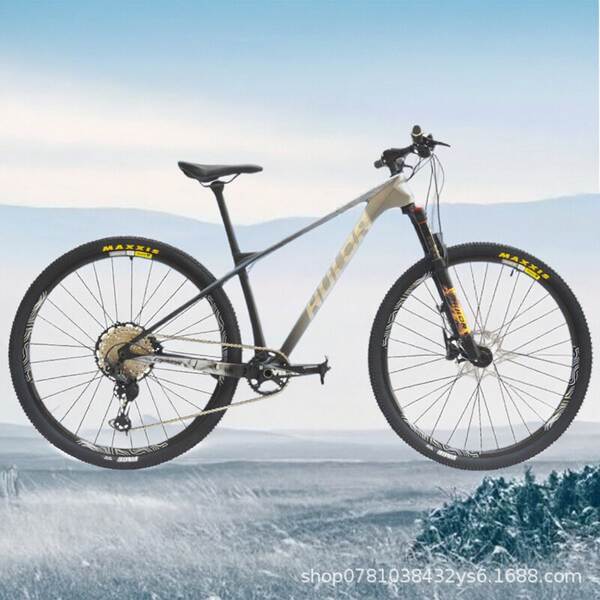 Fibra de carbono Freio de disco duplo Bicicletas Bicicletas Comodidade leve Transmissão Bicicletas Bicicletas de montanha