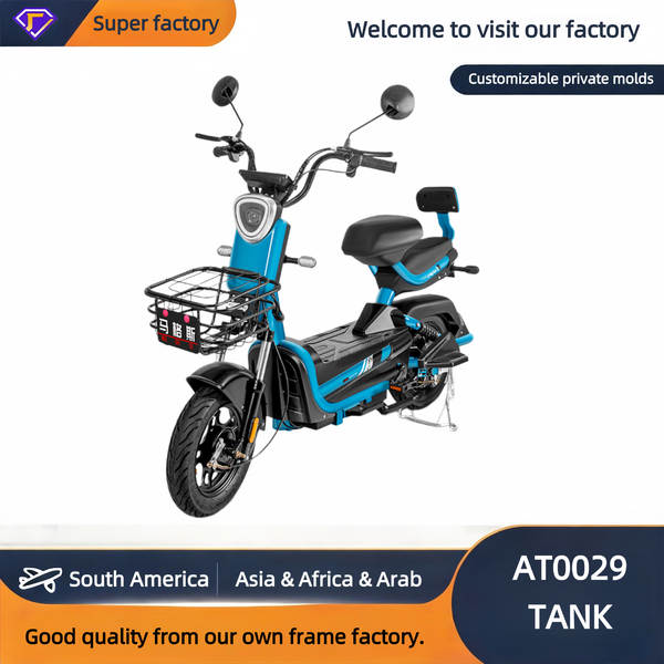 Daily Use Electric Bike - Reliable & Cost-Effective for Ever