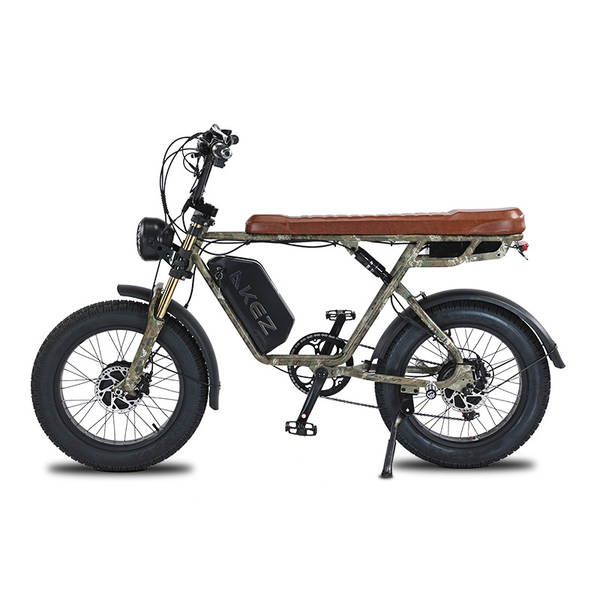 AKEZ moto elétrica de 20 polegadas 750V*2 duplo motor de aço de carbono de alta velocidade rack de cauda elétrica bicicleta de assistência