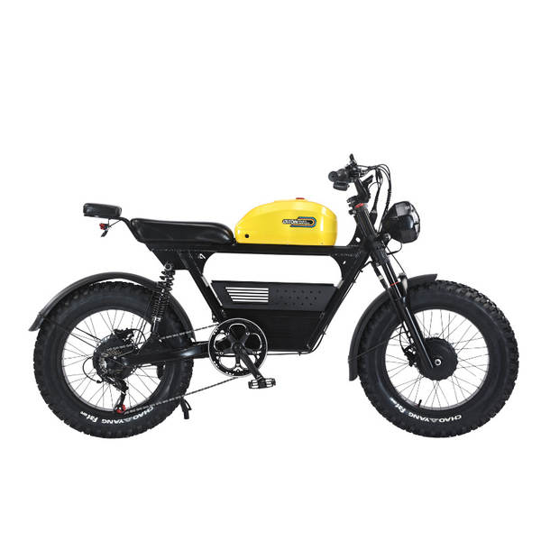 DITON TANK-300 Mountains Cross-country bicicleta elétrica offshore armazém moda vintage moto elétrica