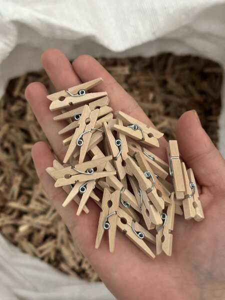 Pinos de Madeira para DIY