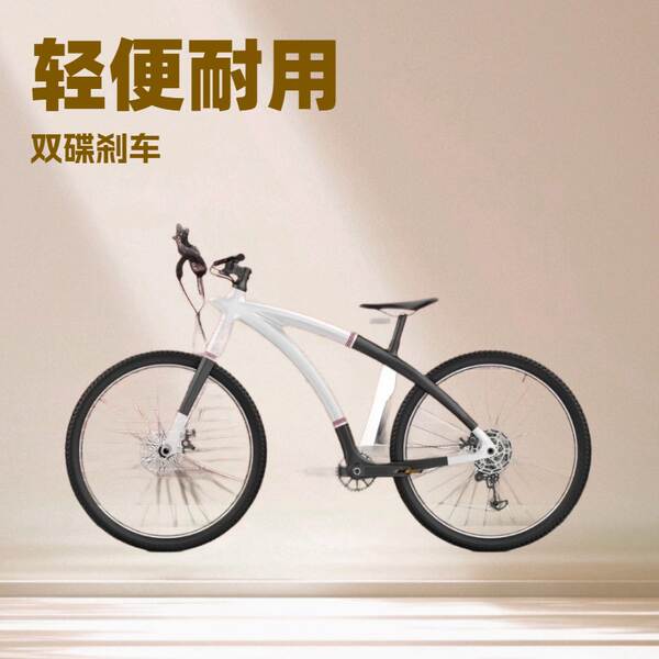 HX Fibra de Carbono Cidade de luxo bicicletas de dois discos de freio adulto rodoviário bicicletas ao ar livre 12 velocidades de bicicleta