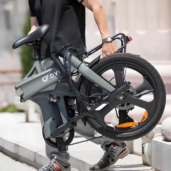 Grande Peixe Fonte Transfronteiriço bicicleta elétrica duas rodas dobrável leve transmissão de velocidade masculina e feminina passo a passo de lazer moda