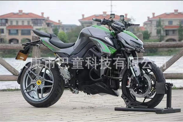 Z1000 Motorcycle elétrico de alta velocidade