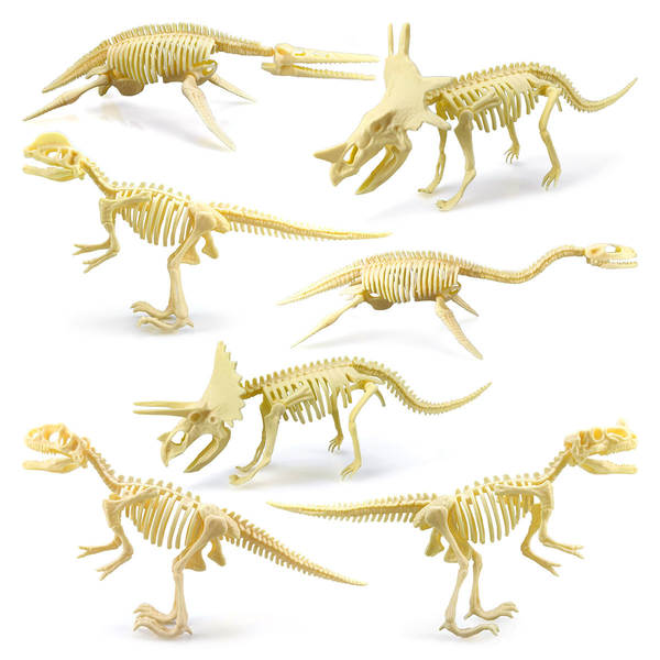 Crianças DIY esqueleto de dinossauro arqueológico manual 7 peças conjunto de dinossauro simulado modelo de dinossauro fóssil transfronteiriço