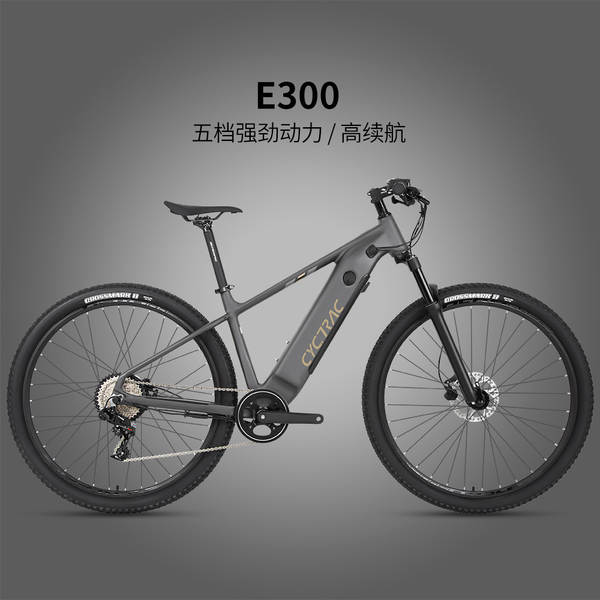 Ciclismo elétrico CYCTRAC E300 motor traseiro retangular de oito forças 48V13A