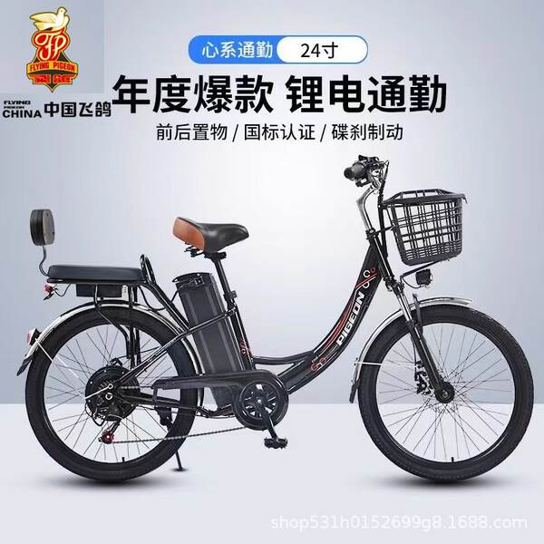 Bicicleta Elétrica para Adultos