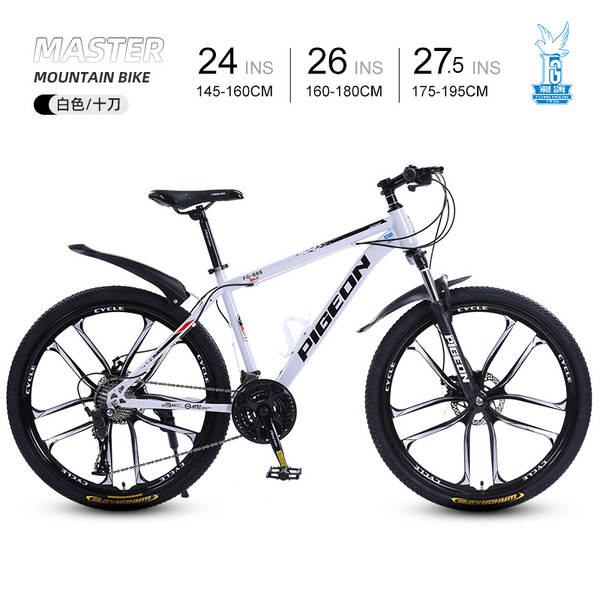 Bicicleta de Montanha 24 Polegadas