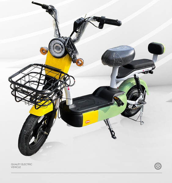 2024 Bicicletas elétricas de duas rodas para pedestres adultos para pedestres transfronteiriços fábrica de exportação