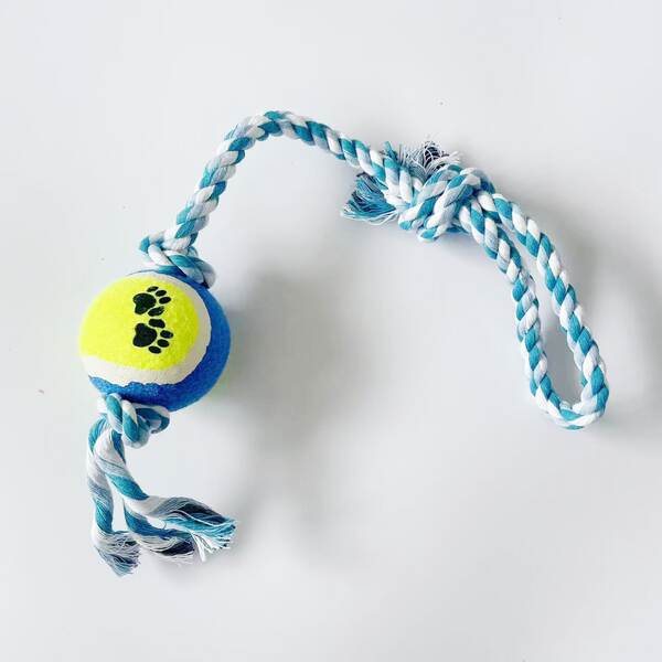 Bola de Futebol para Cachorro