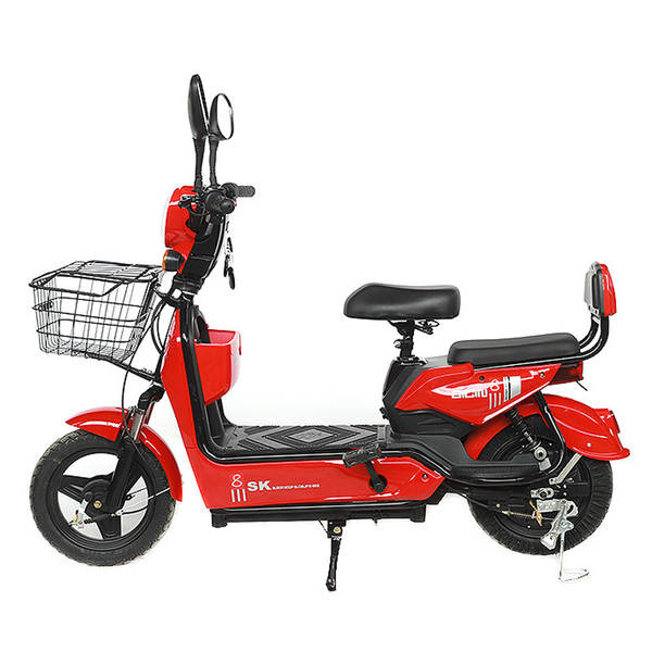 Produtor de carros elétricos de exportação transfronteiriça fornece duas rodas de bicicletas elétricas para auxiliares de carros elétricos