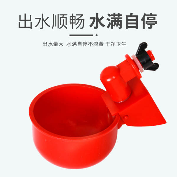 Bebedouro Automático para Aves