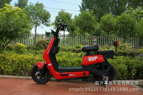 Fonte de fábrica atacado de veículos elétricos de duas rodas OEM duas rodas de bicicleta elétrica Lithium trampolim assistente de água de freio de tambor