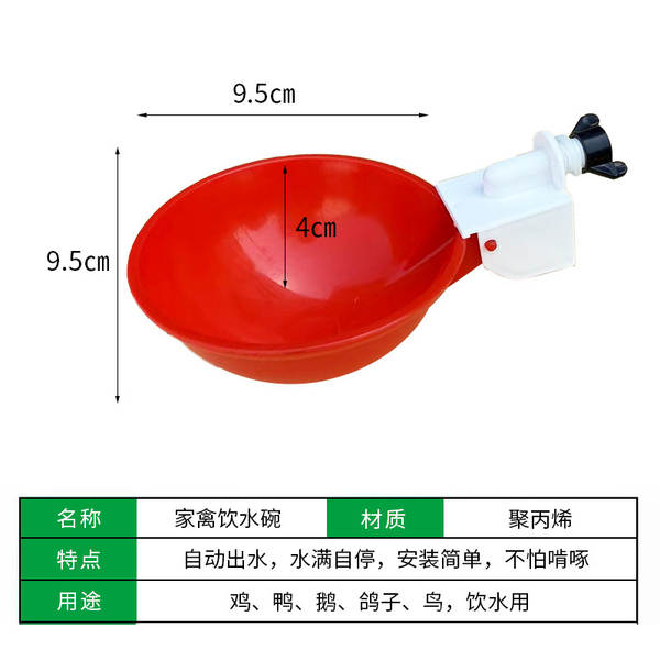 Bebedouro Automático para Aves