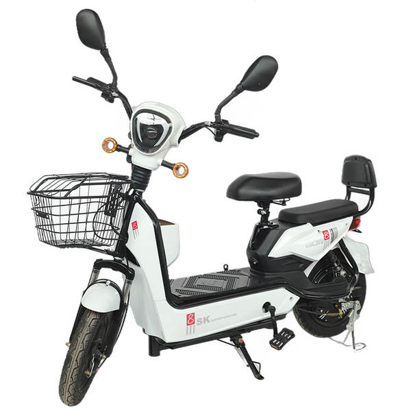Produtor de carros elétricos de exportação transfronteiriça fornece duas rodas de bicicletas elétricas para auxiliares de carros elétricos
