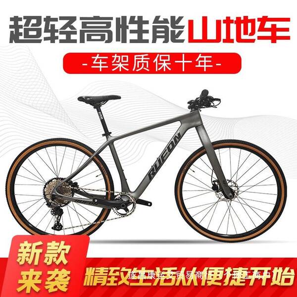 Bicicleta de Montanha Carbono 12 Velocidades