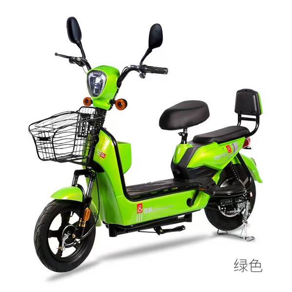 Bicicleta Elétrica