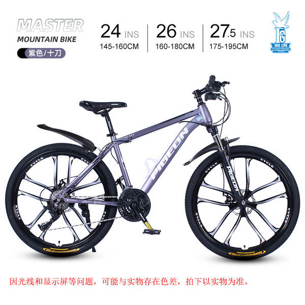 Bicicleta de Montanha 24 Polegadas