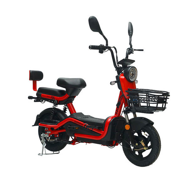 Bicicleta Elétrica para Adultos