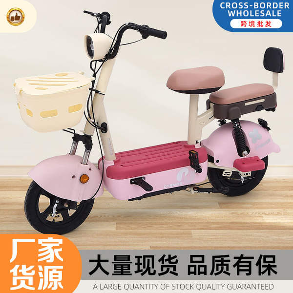 Bicicleta Elétrica de Duas Rodas