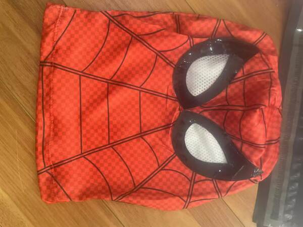 Traje de Aranha para Cosplay