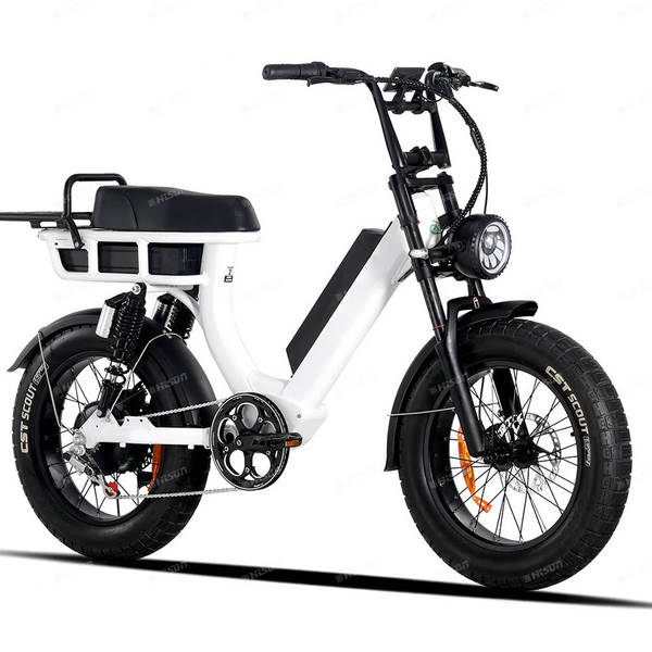 Bicicleta elétrica de montanha de duas baterias 48V 20Ah Escalada de alta velocidade 55km/h Regata leve de liga de alumínio