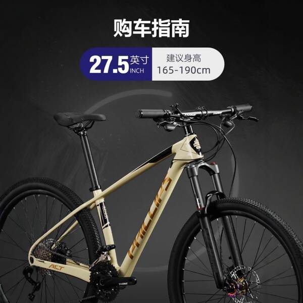 Bicicletas de montanha de fibra de carbono da Philips para adultos masculinos de 33 velocidades para bicicletas de montanha ultra-leves