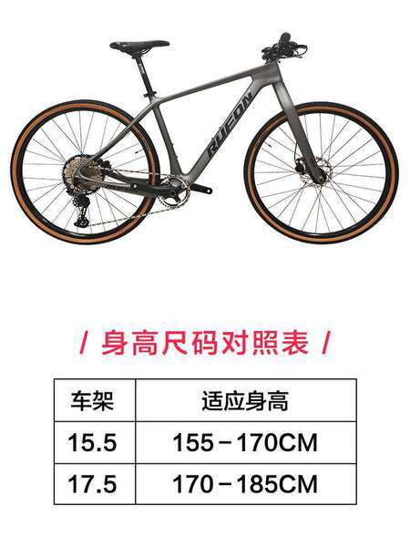 Bicicleta de Montanha Carbono 12 Velocidades