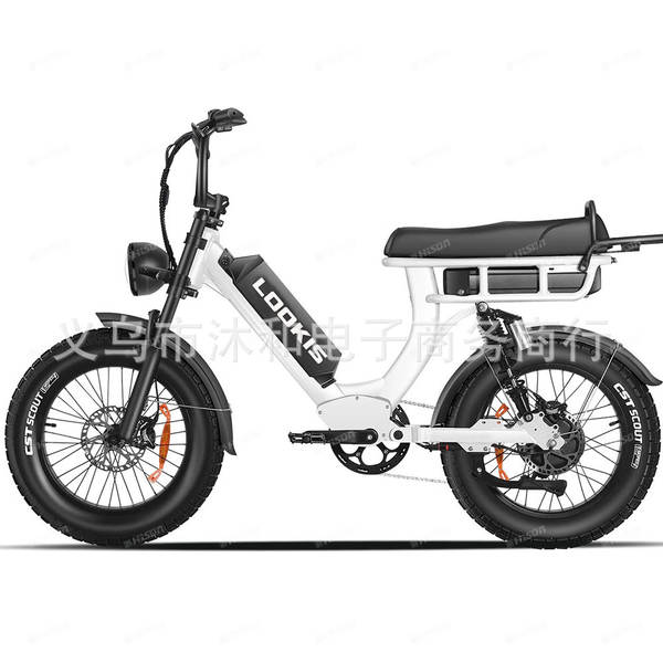 Bicicleta elétrica de montanha de duas baterias 48V 20Ah Escalada de alta velocidade 55km/h Regata leve de liga de alumínio