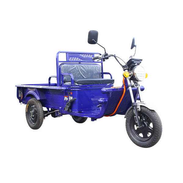 Caminhão elétrico de três rodas novo modelo doméstico de garrafas elétricas de três rodas para adultos caminhão pesado pequeno caminhão