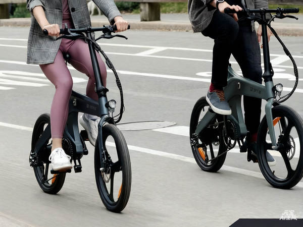 Grande Peixe Fonte Transfronteiriço bicicleta elétrica duas rodas dobrável leve transmissão de velocidade masculina e feminina passo a passo de lazer moda