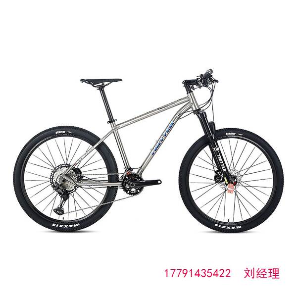 WERNER M8100-2*12 Bicicleta de corrida de velocidade transversal XC para adultos