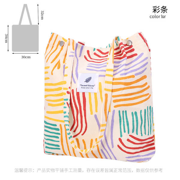 ins风简约灯芯绒帆布包双肩带帆布袋旅行外出收纳包女包单肩包