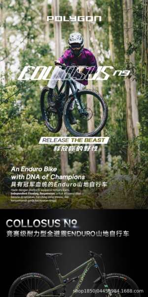 POLYGON Collosus N9 Enduro automóvel de montanha-russa de liga de alumínio