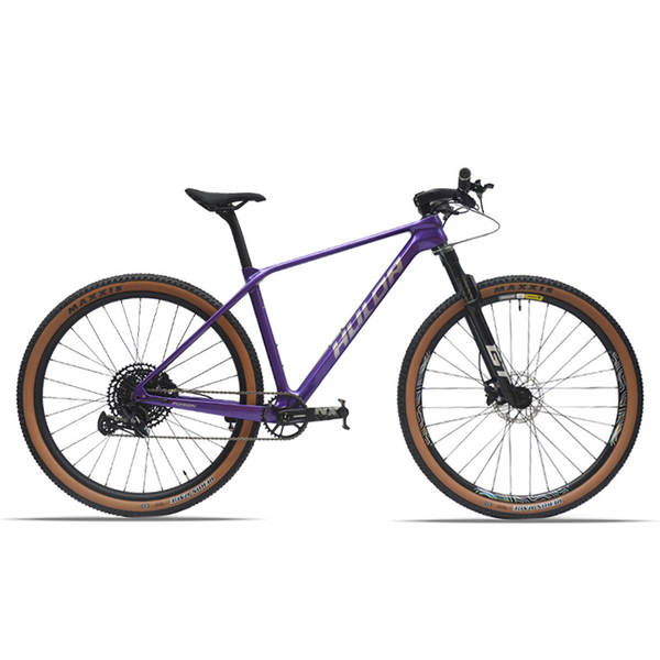 Haruda HULDA Bike Bike 29 polegadas ShimanoXT12 Velocidade para montanhas