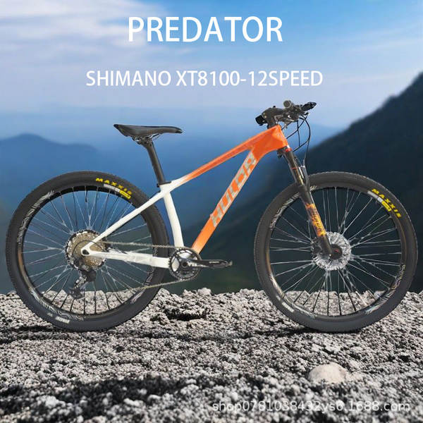 Fibra de carbono Freio de disco duplo Bicicletas Bicicletas Comodidade leve Transmissão Bicicletas Bicicletas de montanha