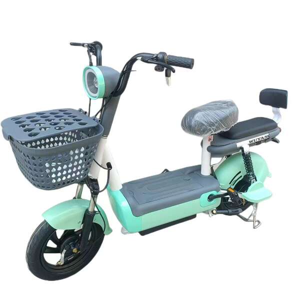 Bicicleta Elétrica Portátil