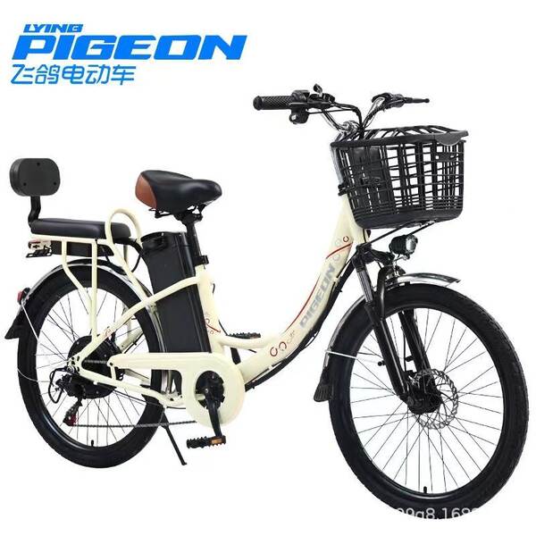Bicicleta Elétrica para Adultos