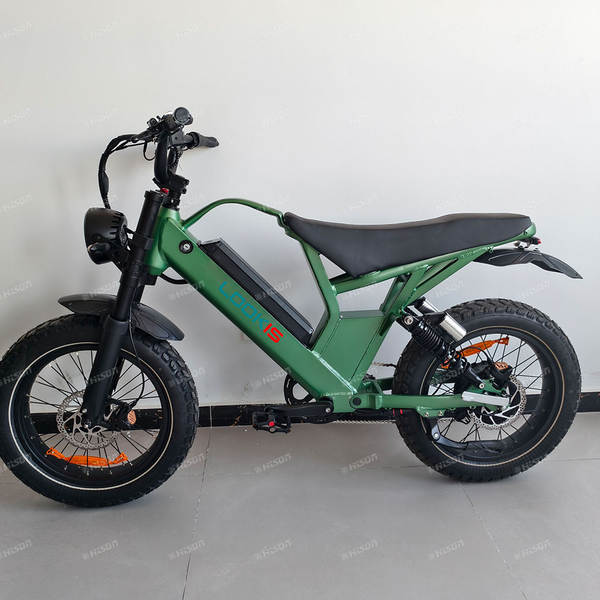 Bicicleta elétrica de montanha de duas baterias 48V 20Ah Escalada de alta velocidade 55km/h Regata leve de liga de alumínio