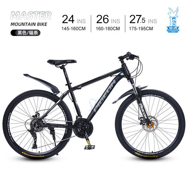 Bicicleta de Montanha 24 Polegadas