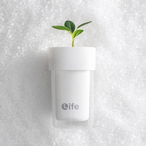 Copo de Escova de Dentes Duplo