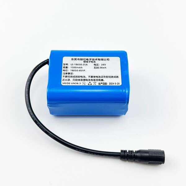 Bateria de Lítio 24V 3000mAh