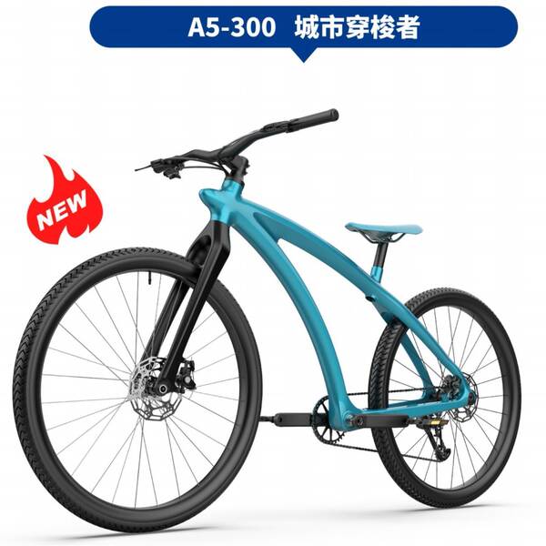 HX Fibra de Carbono Cidade de luxo bicicletas de dois discos de freio adulto rodoviário bicicletas ao ar livre 12 velocidades de bicicleta