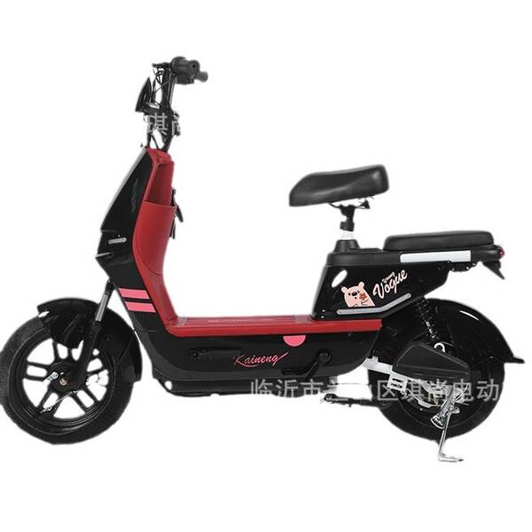 2024 carro elétrico de venda a quente bicicleta de duas rodas adulto garrafas elétricas para caminhão fábrica de exportação