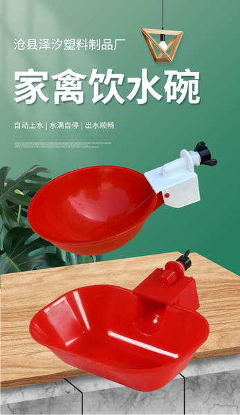 Bebedouro Automático para Aves