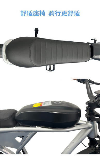 Fornecimento transfronteiriço de motores de 20 polegadas para carros de neve e motores para bicicletas com frenagem dianteira e traseira com bateria de lítio de 48V